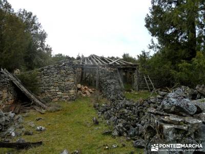 La Fuentona y el Sabinar de Calatañazor; rutas a pie;grupos de senderismo en madrid capital